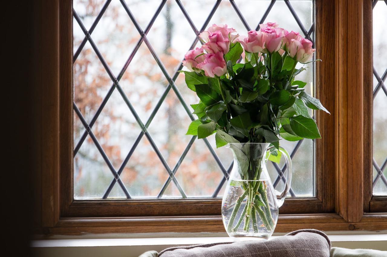 The Graig Bed & Breakfast Ludlow Farden Exterior foto